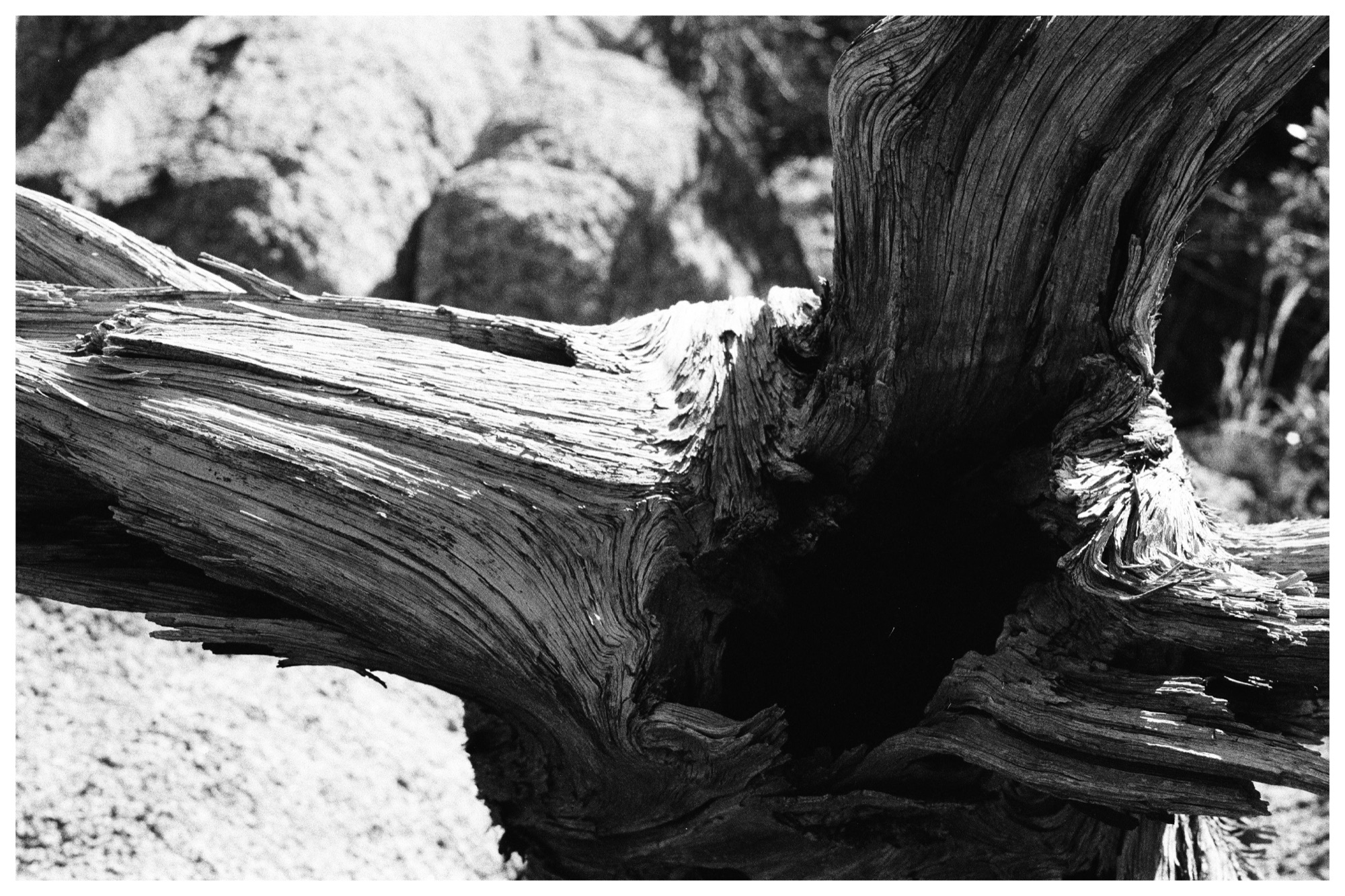 Weathered wooden planks at Flum and Watson Dam